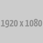 Mastering the Art of Archery: Precision and Focus